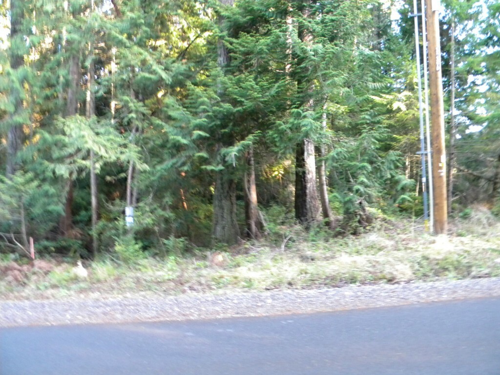 Property Photo:  4lot Willamette Meridian Rd NW  WA 98383 