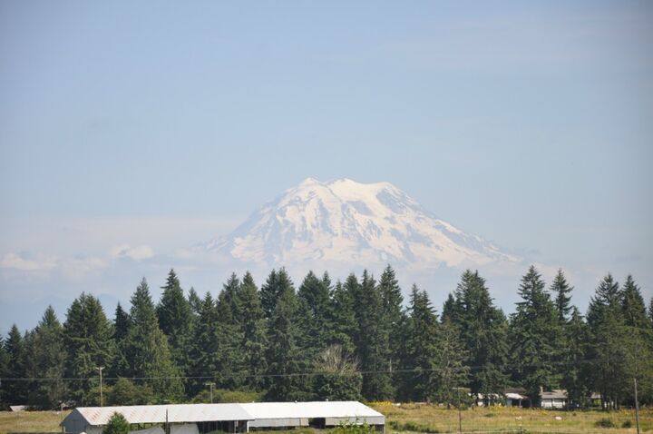 Property Photo:  1815 197th St Ct E  WA 98387 