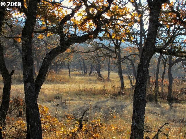 Property Photo: Osburn Cutoff OR 97040