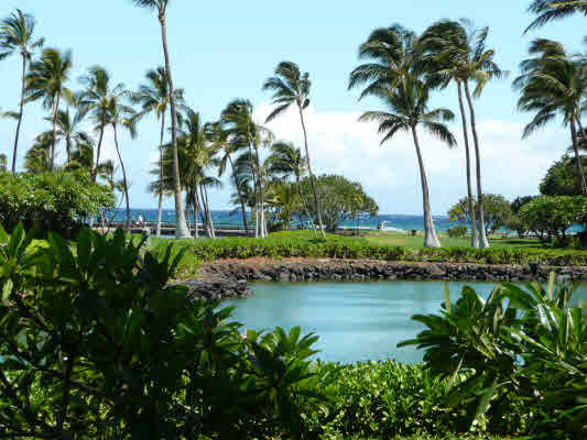 Property Photo:  68-1399 Mauna Lani Dr E101  HI 96743 