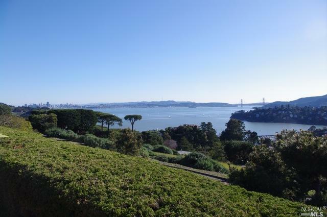 1825 Lagoon View  Tiburon CA 94920 photo