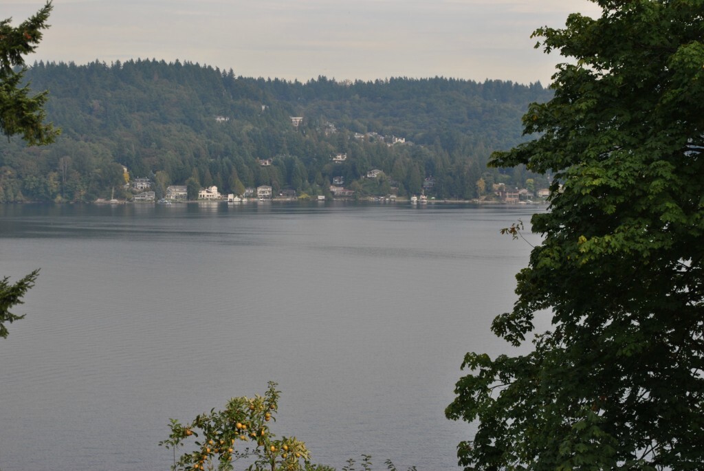 Property Photo:  13216D 42nd Ave NE  WA 98125 