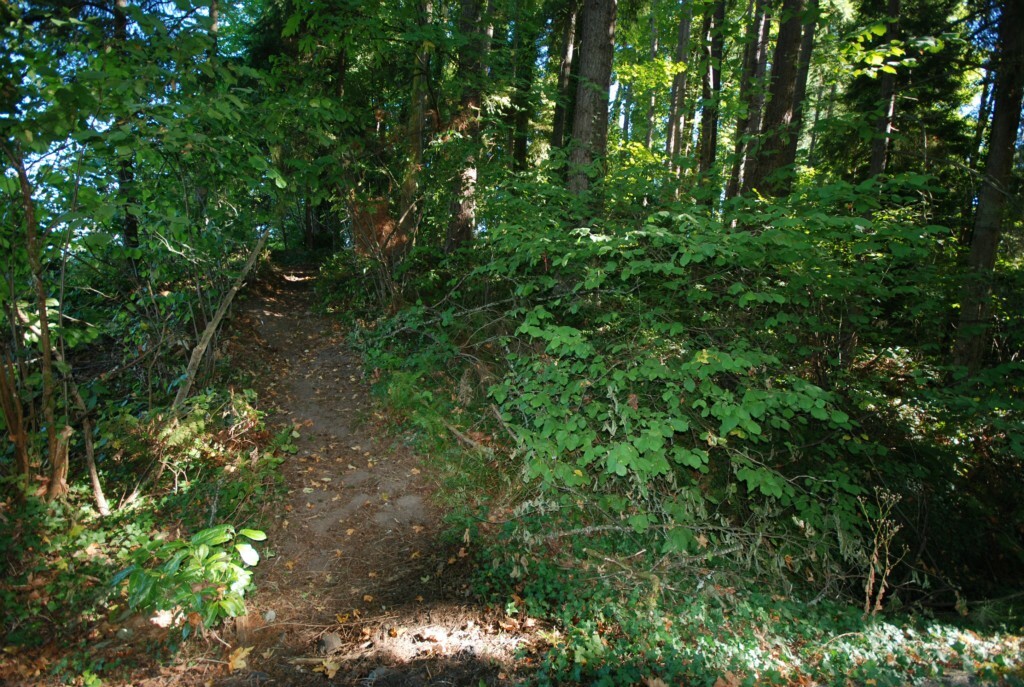 Property Photo:  42 Xx W Lake Sammamish Pkwy SE  WA 98008 