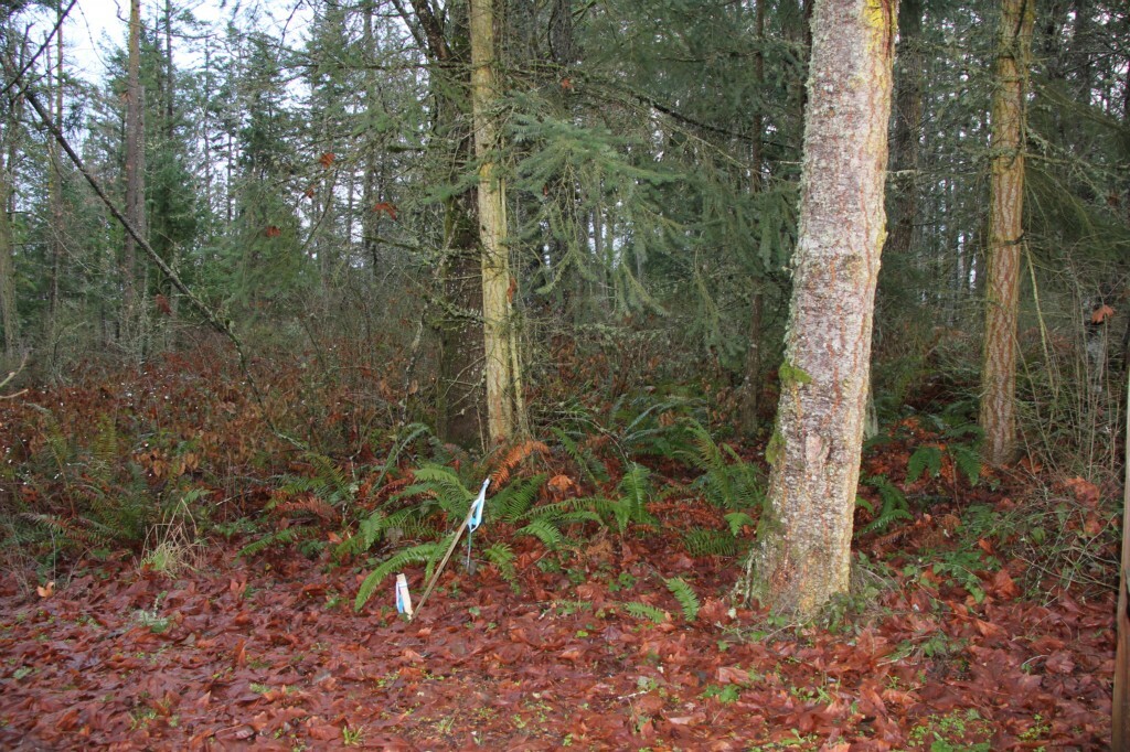 Property Photo: 0 Forest Hill Rd WA 98282