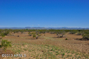 Property Photo:  22207 W Dale Lane W  AZ 85361 