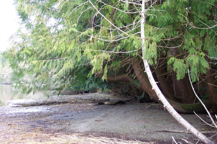 Property Photo:  16726B  C Stavis Bay Rd NW  WA 98380 