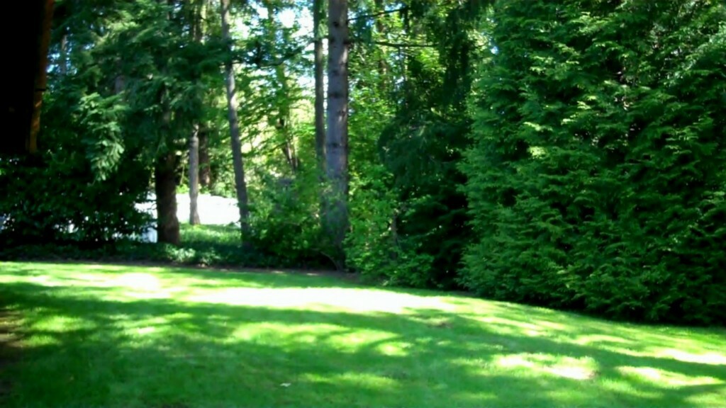 Property Photo:  148 130th Place NE  WA 98005 