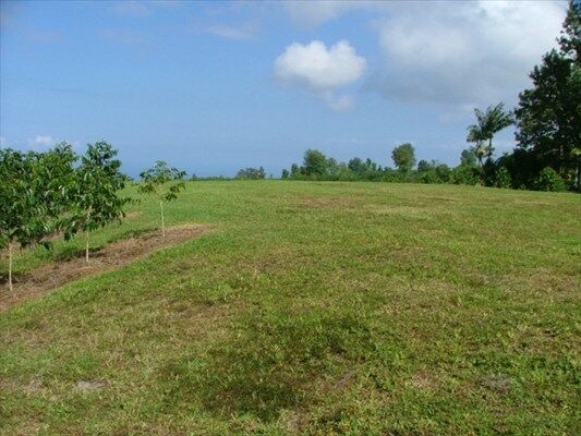 Property Photo:  Kamalani Street 2  HI 96725 