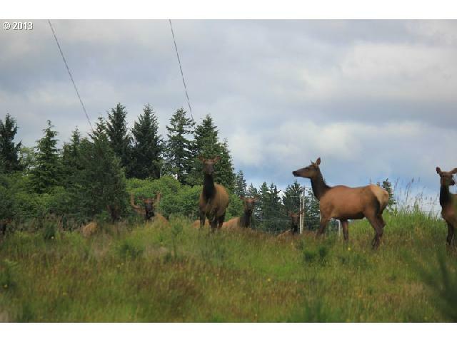 Property Photo: Hillcrest Loop Rd OR 97103