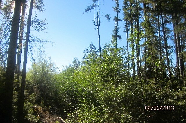 Property Photo: 620 Fern Lane W WA 98312