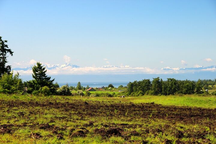 Parcel 6 Douglas Rd  San Juan Island WA 98250 photo