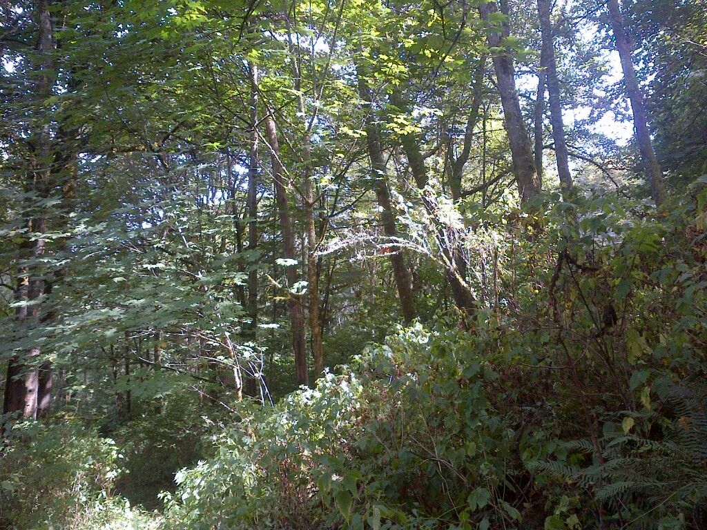 Property Photo:  215xx E Lost Lake Rd  WA 98296 