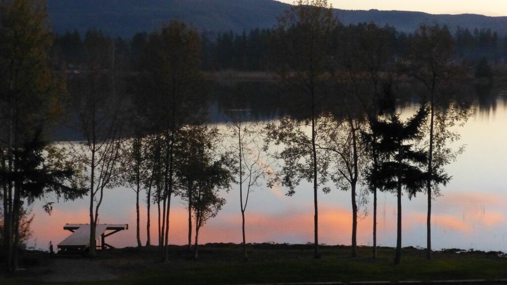 Property Photo:  17439 Topaz Lp SE  WA 98597 