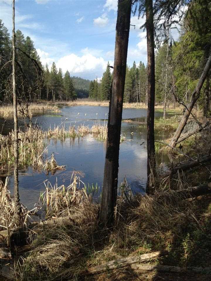 Property Photo:  Lot 7 Bear/Harworth Rd West Branch Paradise Addition  WA 99156 