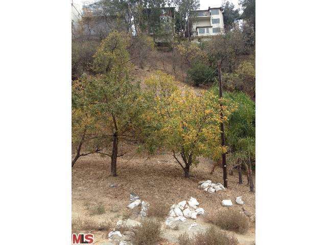 Property Photo: 0 Moss Ave CA 90065