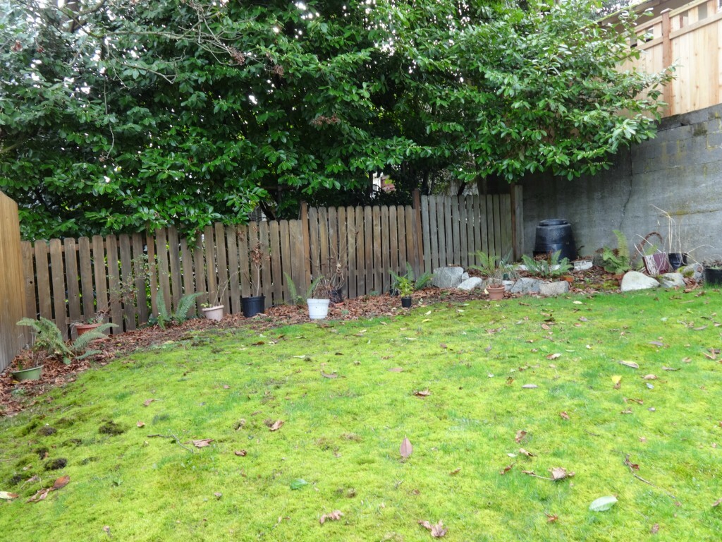 Property Photo:  507 N 72nd St  WA 98103 