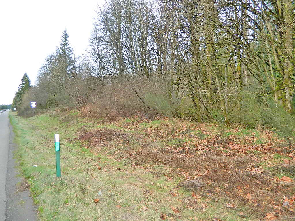 Property Photo:  1 X  Hwy 16 Junction  WA 98367 