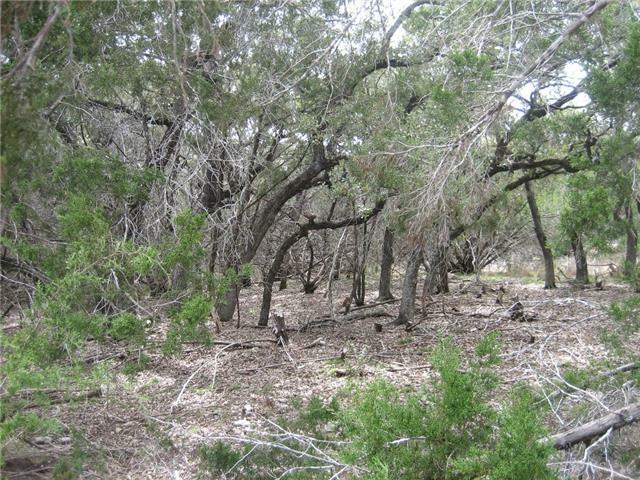 Property Photo:  3626 High Mountain Drive  TX 78645 