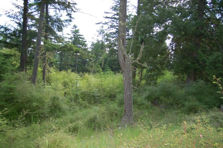 Property Photo: Xxx Wilson Rd WA 98250