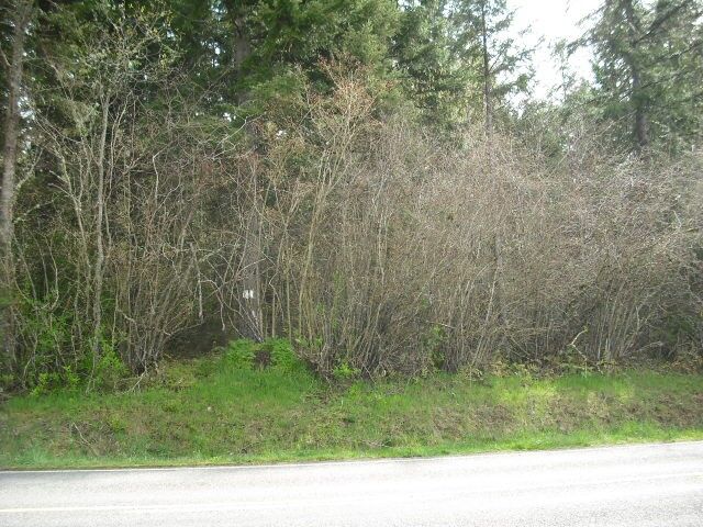 Property Photo: 15904 Lawrence Lake Rd SE WA 98597