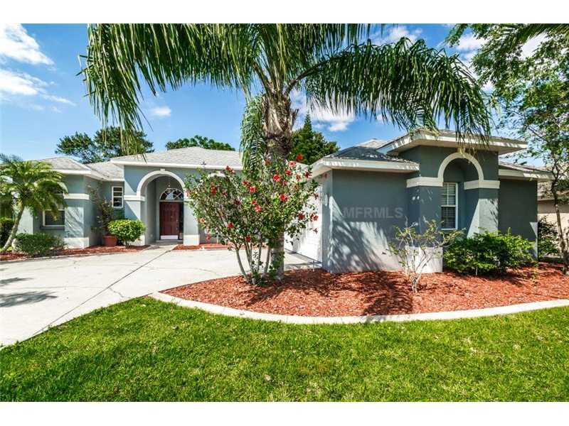 Property Photo:  1273 Blackrush Drive  FL 34689 