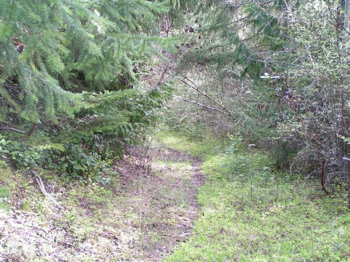 Property Photo: 9999 Sunset Heights Dr WA 98363