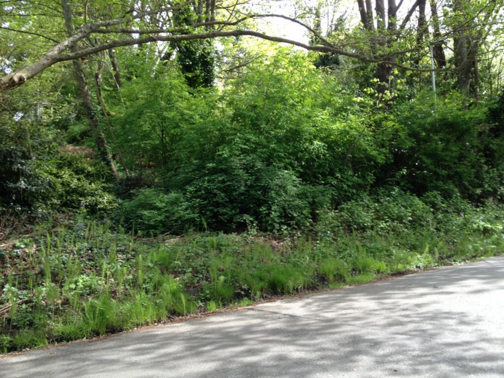 Property Photo: 98xx 47th Ave SW WA 98136
