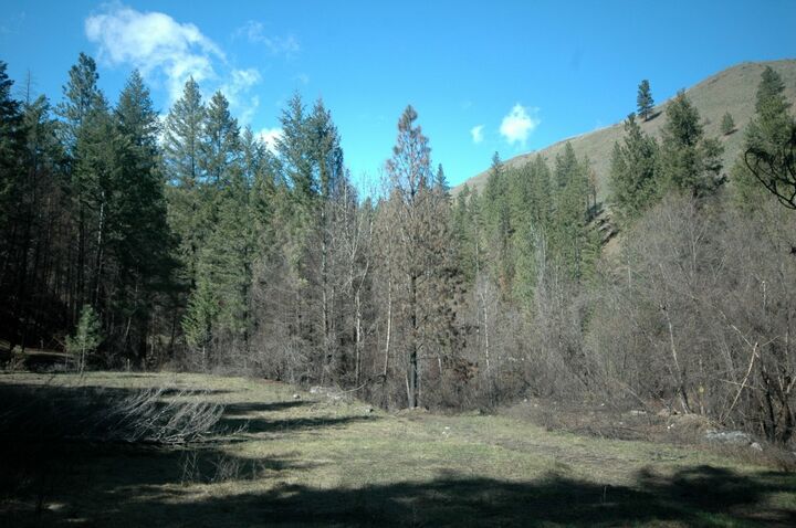 Property Photo:  0 Tbd Gold Creek Ranch Rd  WA 98814 