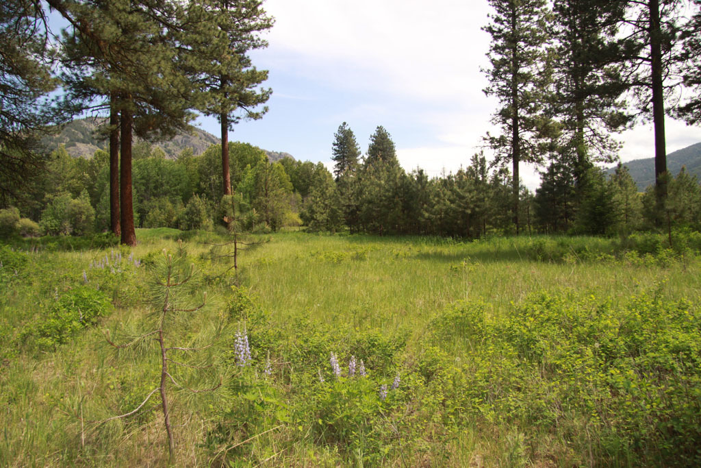 Property Photo:  18273 Hwy 20  WA 98833 