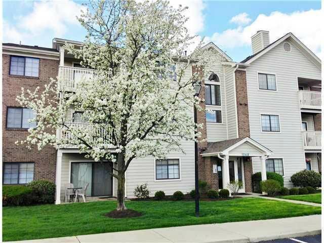 Property Photo:  6823 Meadow Creek Drive  OH 43235 