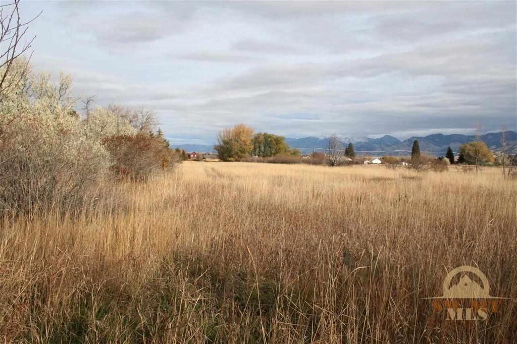 Property Photo:  310 Valley Drive  MT 59718 