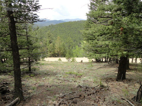 Property Photo: 0 Lazy Z Rd CO 80466