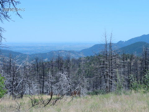 Property Photo: 1633 Gold Run Rd CO 80302