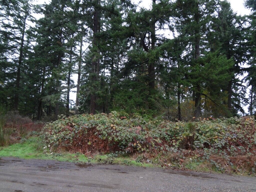 Property Photo: 901 160th St E WA 98445