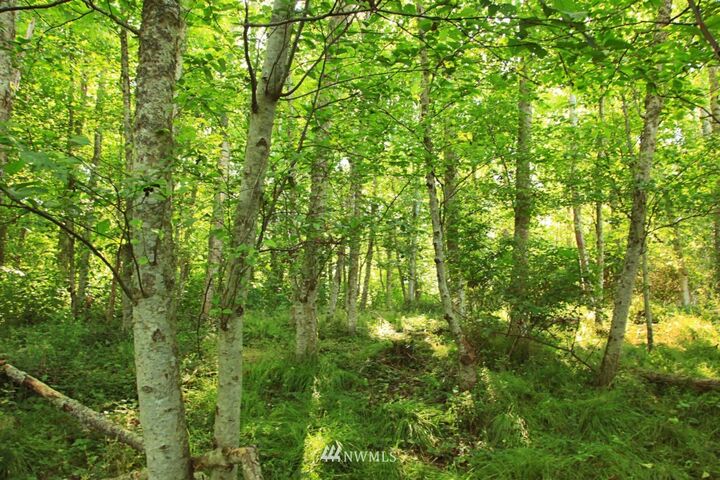 Property Photo:  111 Harbor Hills Drive  WA 98249 