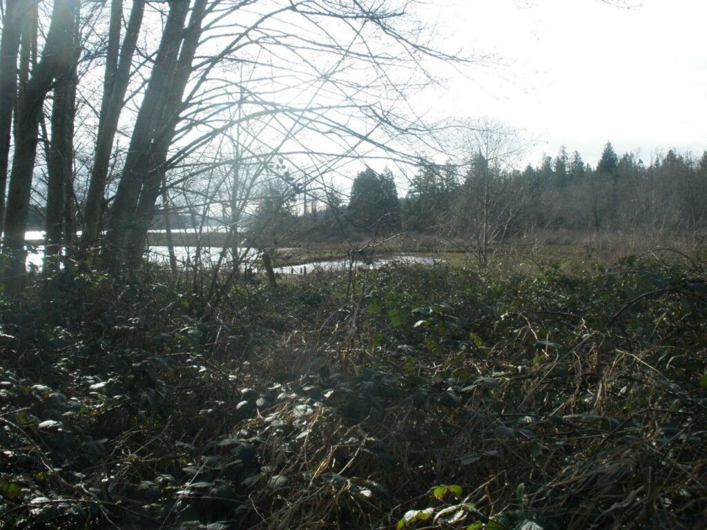 Property Photo:  15050 Burley Ave SE  WA 98367 