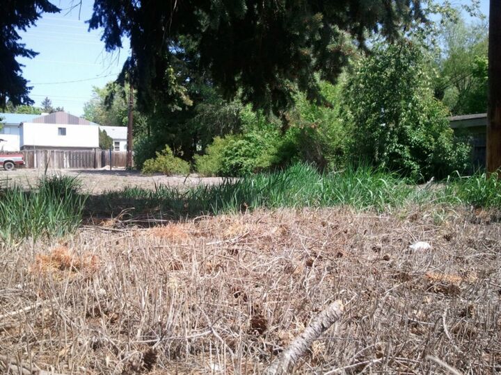 Property Photo:  311 W 10th Ave  WA 98926 