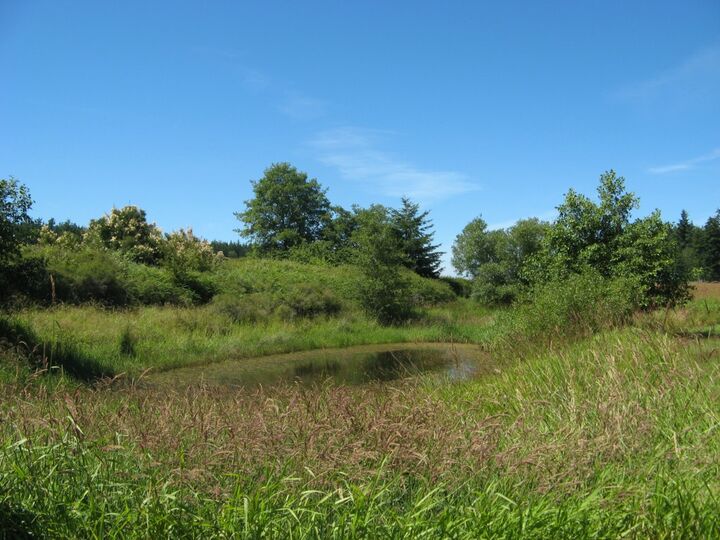 Property Photo:  777 Lopez Sound Rd  WA 98261 