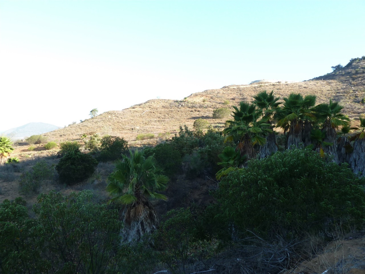 Property Photo:  13316 Ricks Ranch Road 13316  CA 92082 