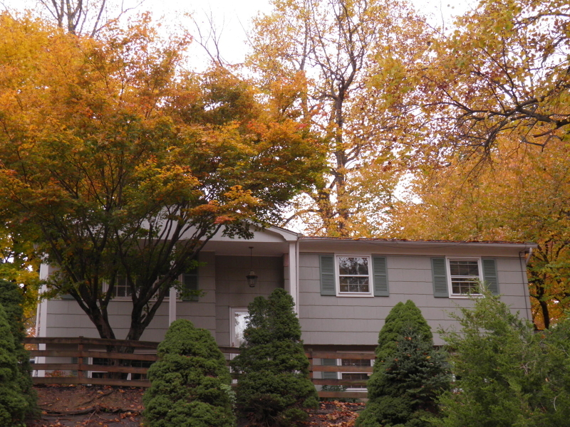 Property Photo:  1 Hillcrest Ln  NJ 08829 