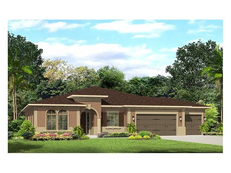 Property Photo:  17707 Daisy Farm Drive  FL 33559 