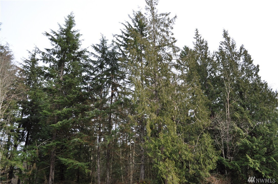 15912 28th St NW  Gig Harbor WA 98332 photo