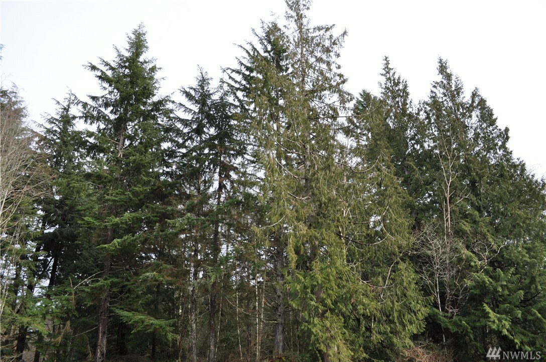Property Photo: 15912 28th St NW WA 98332