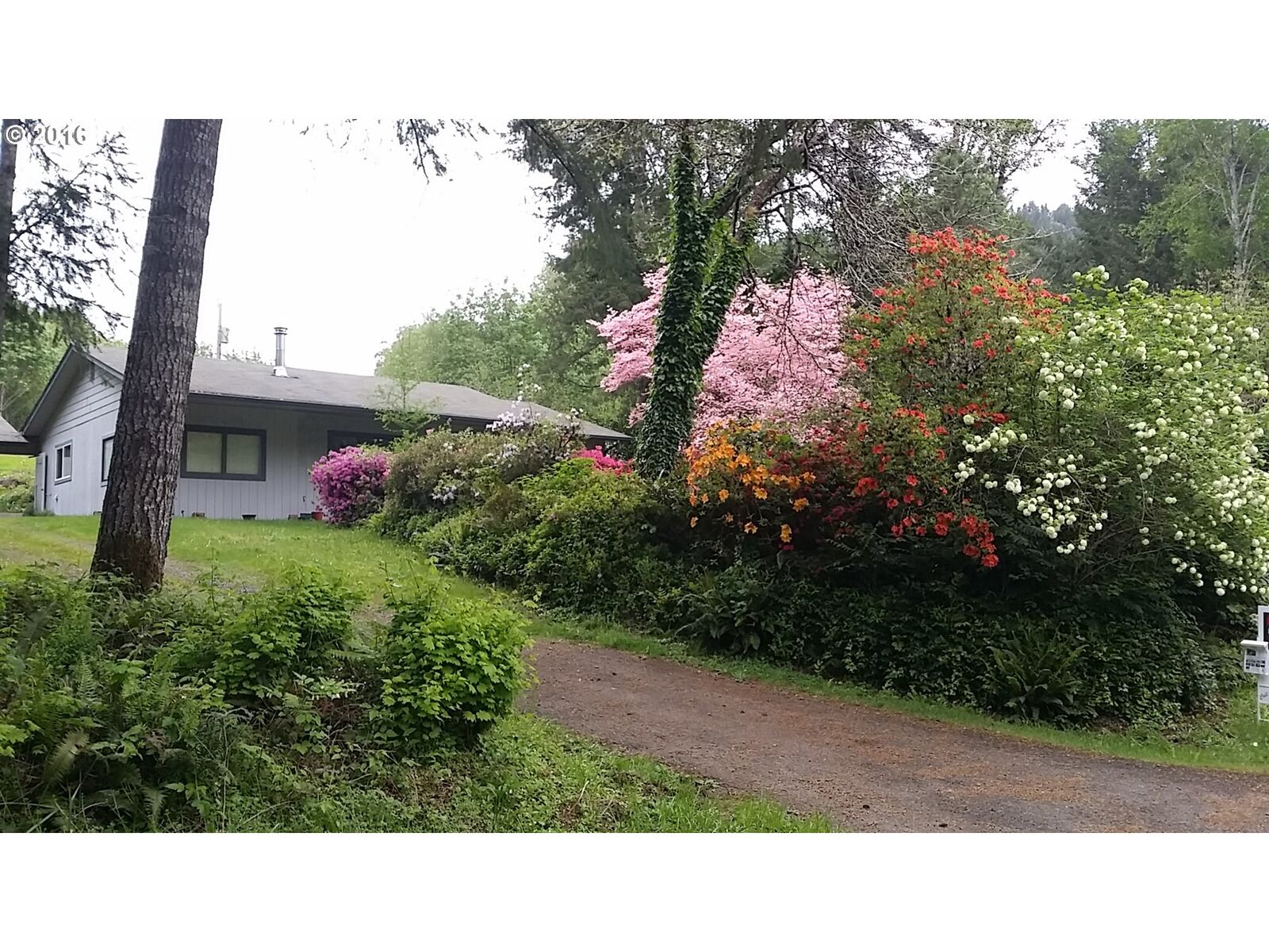 Property Photo: 13949 Hwy 36 OR 97480