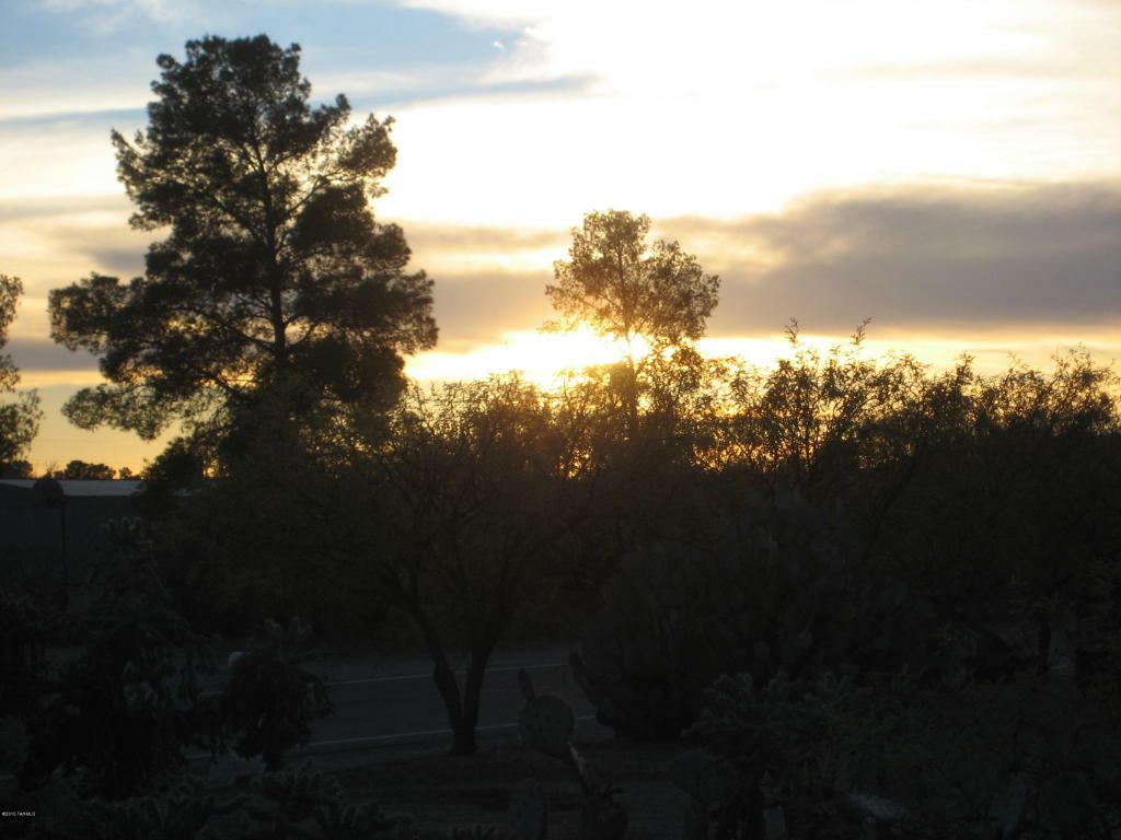 Property Photo: 3591 E Stallion Lane AZ 85739
