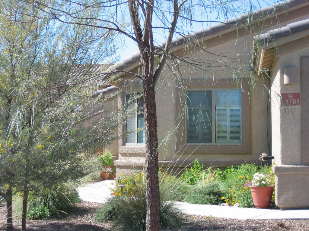 Property Photo:  12703 N Belarus Drive  AZ 85653 