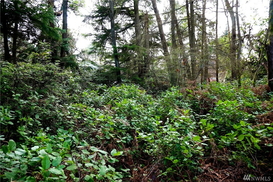 Property Photo:  91 SW 248th St  WA 98070 