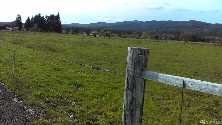 Property Photo: 0 Doty Dryad Rd WA 98532