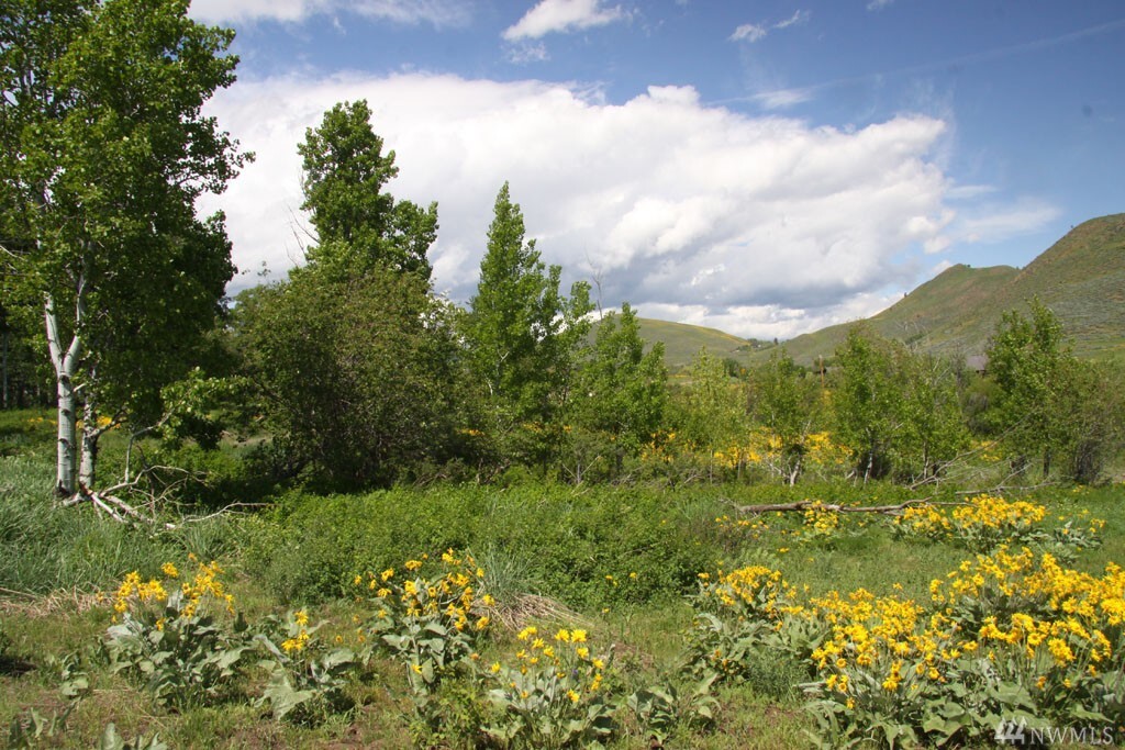 Property Photo: 260 Rendezvous Rd WA 98862