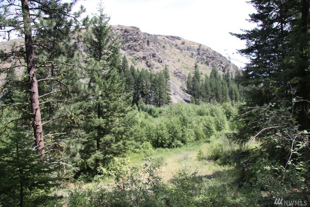 Property Photo:  0 Alder Creek Rd  WA 98856 